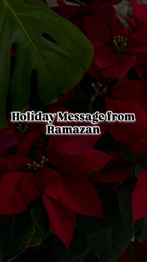 DYNAMIX MMA on Instagram: "Thank you @darkronin.x 😊"