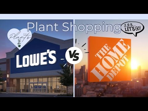 Lowe’s vs Home Depot Plant Shopping 🌿 Who Won?! | Clearance, New Arrivals, + My Ratings 2025