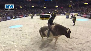 16K views · 870 reactions | Textbook ride from Matt Triplett. The Montana cowboy earned an 89.25 point ride on Bad Beagle, placing sixth in the Windy City. | PBR | Facebook