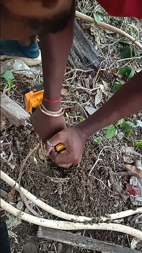 Easiest Method to Plant a Plant Using Auger and Drill Machine| GrowPro