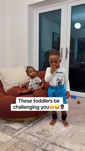 Toddlers Challenging Us: Hilarious Moments