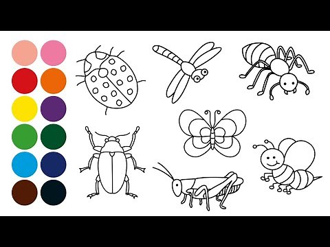 ANIMALES INSECTOS dibujar y colorear para niños - Dibujar animales con Mozart