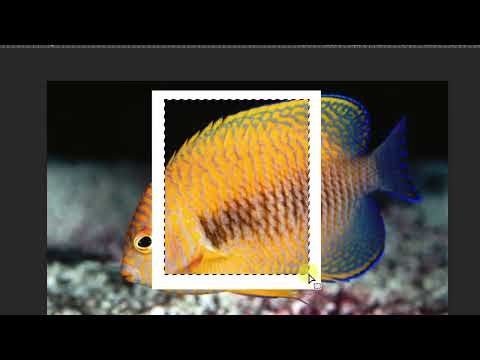 How to Create 3D photo Frame Effect | Photoshop Tutorial | 3D Frame