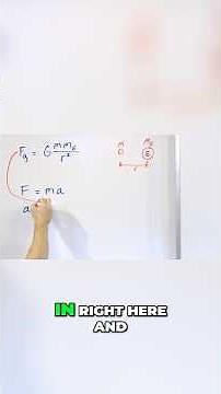 Why does gravity ignore mass?