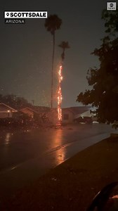 294K views · 6.5K reactions | A palm tree burst into flames after being hit by lightning in Scottsdale, Arizona, as monsoon storms bring heavy rain and high winds to the Phoenix area. https://abcn.ws/3bufRpw | ABC News | Facebook