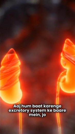 Excretory system knowhow #science #viral