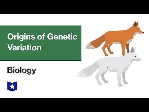 Origins of Genetic Variation | Biology