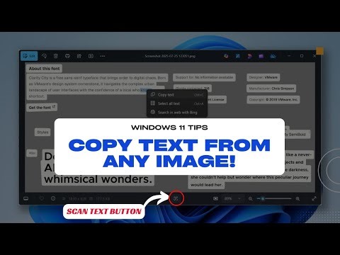 Stop Typing! Windows 11 Can Now Copy Text From Images Instantly