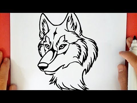 HOW TO DRAW A WOLF