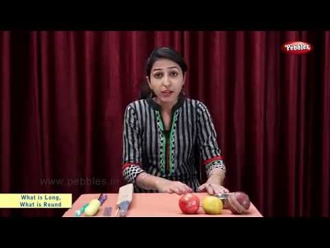 CBSE Class 2 Maths | What is Long, What is Round | CBSE Maths Chapter 1 | CBSE Maths Syllabus