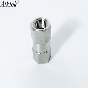 [Hot Item] Ba-Grade Ra0.25um Stainless Steel Spring Loaded Non Return Valve