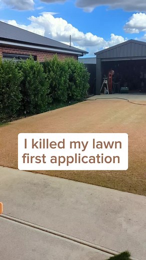 Lawn Renovation Process: Killing, Scarifying, and Reseeding