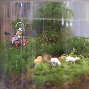 365K views · 2.5K shares | This plant shop lets you create your own mini world. | Culture Insider | Facebook