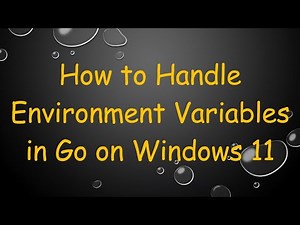 How to Handle Environment Variables in Go on Windows 11