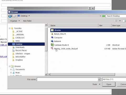 Insert PDF into Outlook email