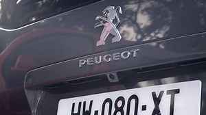 4.8K views · 223 reactions | The new #PeugeotTraveller makes life...