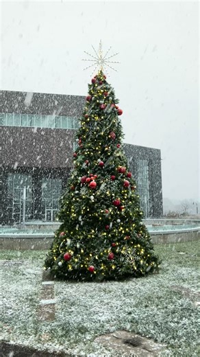 Two days. Endless holiday magic. ✨🎄 Experience Eau Claire at its most festive with a weekend full of cozy cocktails, Christmas tree farms, gift shopping, and holiday shows at the Pablo Center. 🎁 Build your 48 hours of holiday cheer in Eau Claire with the full itinerary in the link in our bio! 🔗 | Visit Eau Claire, WI