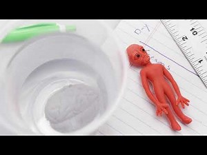 Monster Science Growing Toys – Expandable To Grow In Water!