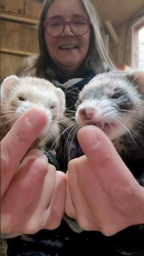 Bonding Tip for Happy Ferrets