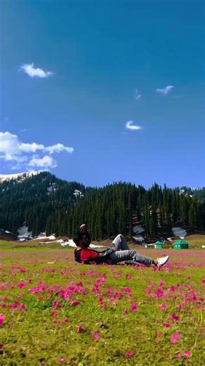 Exploring Nature on a Road Trip Through Majestic Mountains