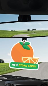 It's official! Food Basics in London is now open. Come visit us at 1530 Rob Panzer Rd. and start saving today. | Food Basics