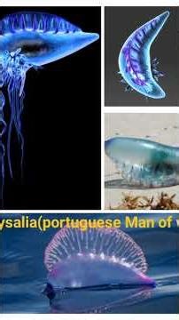 Cylindrical Objects Examples! 😮 | Real-Life Cylinders #3d Shorts