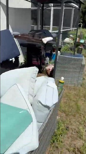 Before & After Junk Removal | Tampa Bay Yard Cleanup