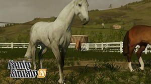 675 reactions · 104 shares | Farming Simulator on Reels | Facebook