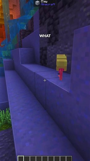 CurseForge on Instagram: "this is the cutest new Minecraft mod 🥹"