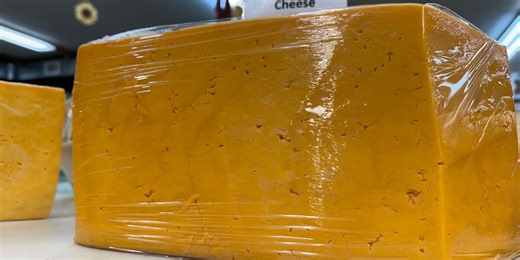 Cheesetown Festival kicks off in Pinconning