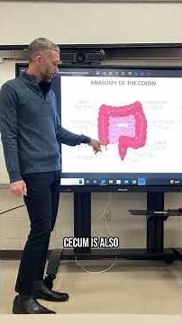 EGD - Surgery, Anatomy, and Medical Terminology