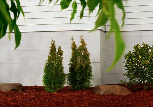 DRYLOK® Masonry Waterproofing Paint Review – A Tale Of Three Basements