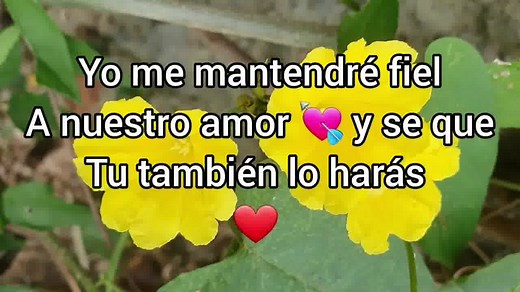 💖 Te extraño mi amor 💖 | Amor verdadero