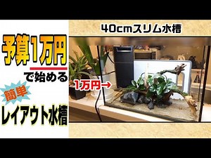 1万円以内でキッチンカウンターにも置ける40cmスリム水槽設置 各用品紹介からレイアウト～注水 まで#aquarium #アクアリウム #初めてのアクアリウム#アクアリウム初心者
