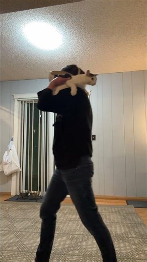 Playing Racket Nx with my cat. #gaming #vr #cats