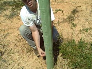 Problems from Lack of Pruning