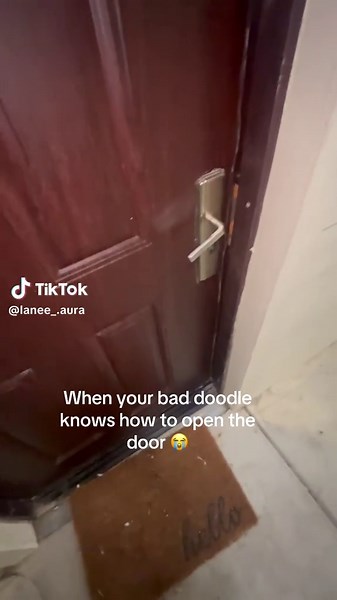 Doodle Dog's Door-Opening Skills