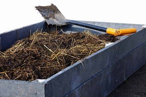 7 Best Wood Options For Raised Gardens (And 3 To Avoid)