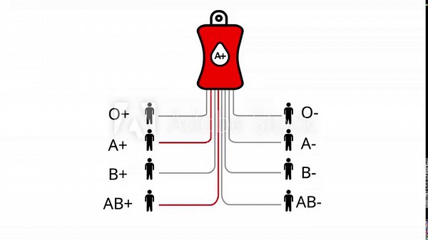 Blood type compatibility chart with A positive blood bag and compatible recipient icons Keywords: blood type, compatibility, chart, diagram, medical, healthcare, science, donation, transfusion, A