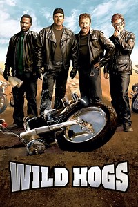 Stream Wild Hogs (2007): Find it on Netflix, Prime Video, Hulu & more