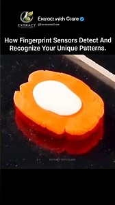 How Your Phone Reads Your Fingerprint in Seconds 🤯📱