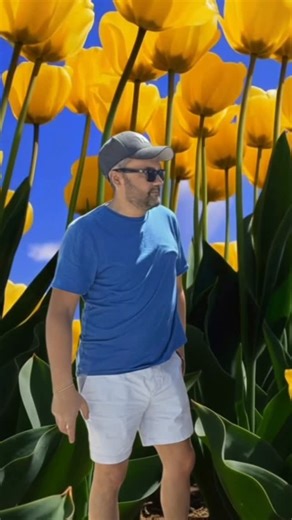 Emrah Retro Computer on Instagram: "Which Windows XP wallpaper would you want to see in real life, with your own eyes? #retrocomputer #retrogame #90s #2000s"