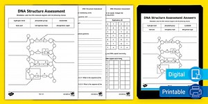 Eighth Grade DNA Structure Assessment