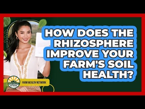 How Does The Rhizosphere Improve Your Farm's Soil Health? - Farm Wealth Network