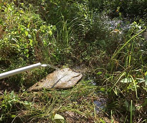 Spring Water Collection System