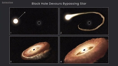 Hubble discovery black hole twists star into donut shape