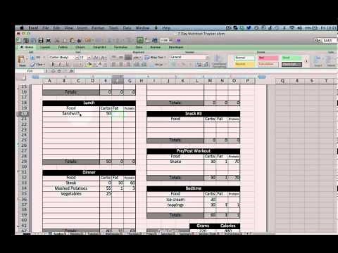 Excel Nutrition Tracking Template