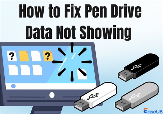 USB Pen Drive Not Showing Data, Files, and Folders [Solved]
