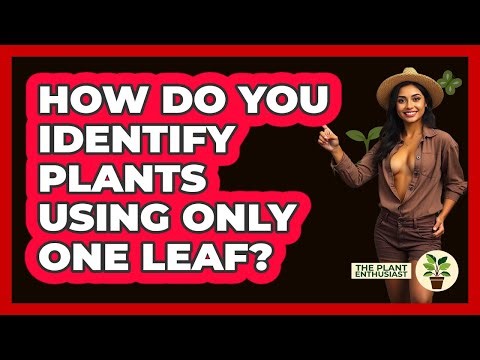 How Do You Identify Plants Using Only One Leaf? - The Plant Enthusiast