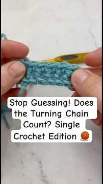 Does the chain count in single crochet? Let’s clear up this crochet mystery once and for all! 🧶